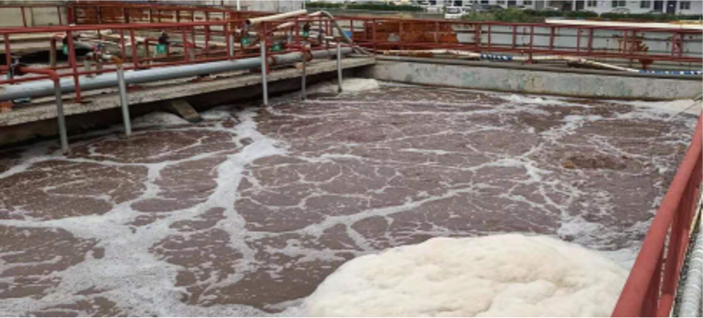 圖片3.png 圖片3.png