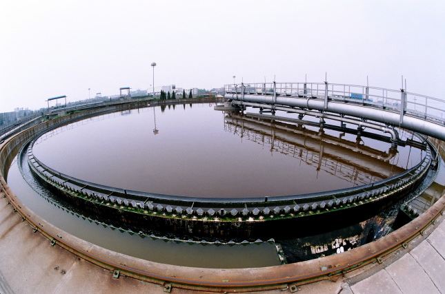 813401a00bcf577dfa612b363ffb2141.png 813401a00bcf577dfa612b363ffb2141.png